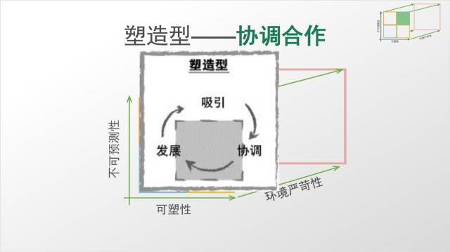 2024新澳门原料网点站